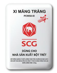 Home 25 Home xi mang trang 1 7a8e9ebe https://scgvlxd.com/ vlxd scg